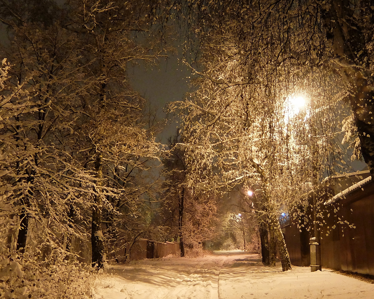 улица, ночь, фонарь, зима, снег