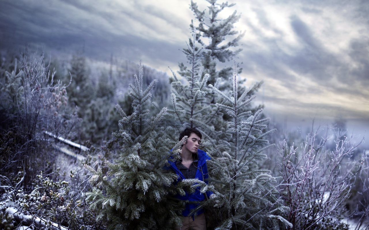 sky, self, portrait, trees, snow, art, cold