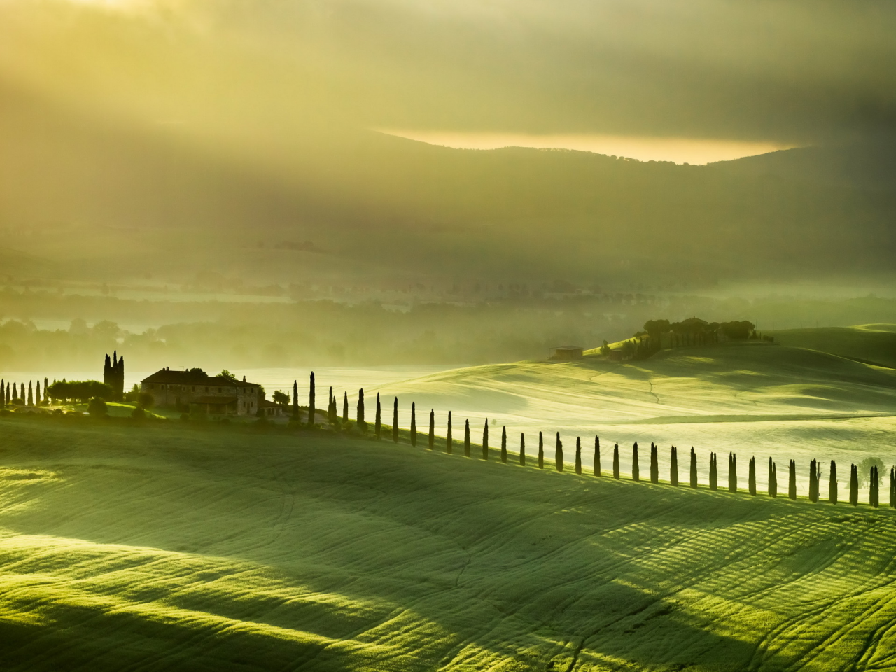 tuscany, italy, пейзаж, поле, туман
