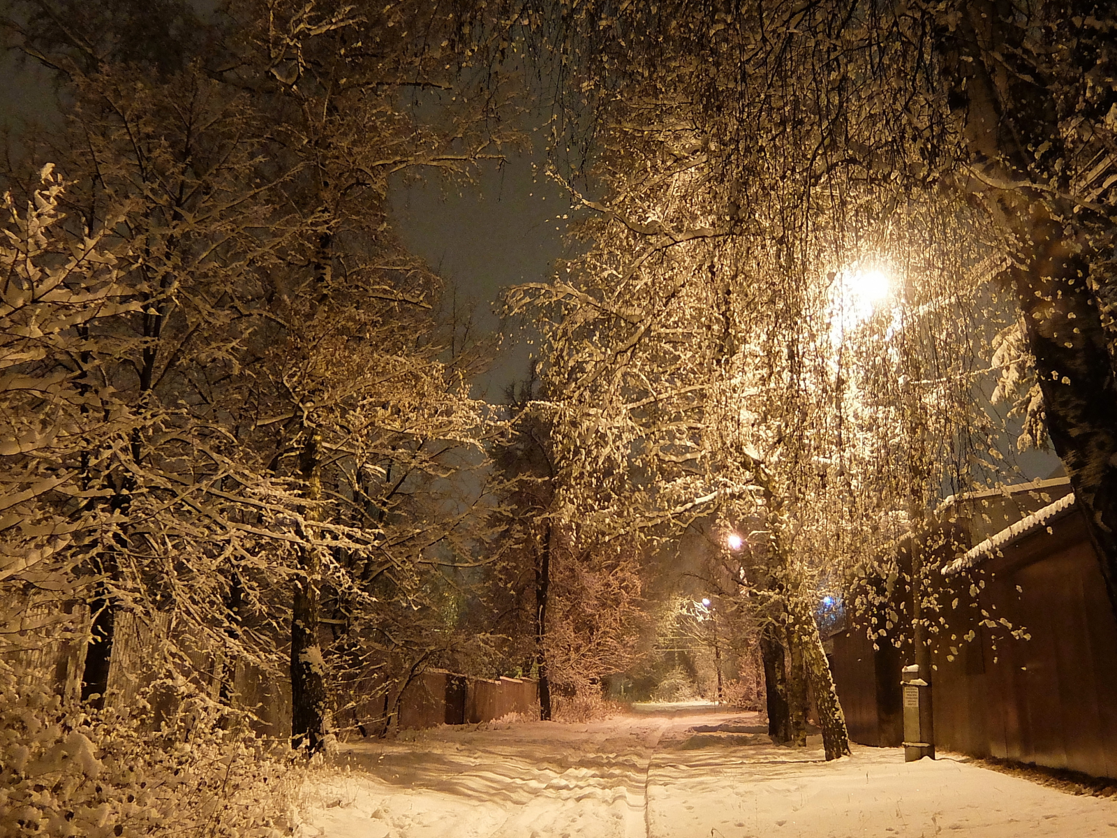 улица, ночь, фонарь, зима, снег