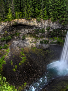 canada, лес, brandywine falls, скала, деревья, водопад, канада