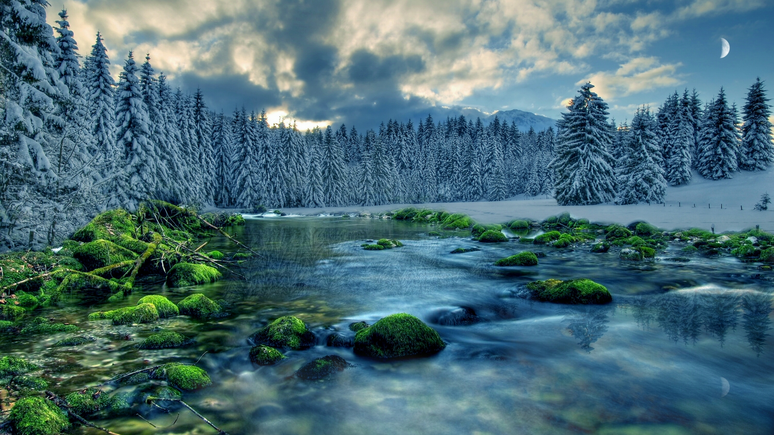 снег, мох, деревья, облака, камни, небо, поток, лес, река