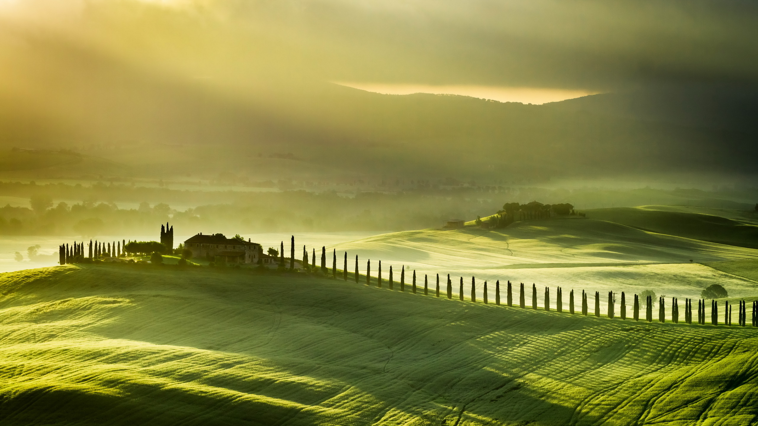 tuscany, italy, пейзаж, поле, туман