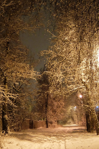 улица, ночь, фонарь, зима, снег