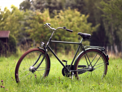 настроения, bike, фон, велосипед, зелень, трава, обои, фон