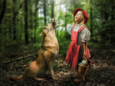 волк, девочка, ситуация, лес, встреча, красная шапочка