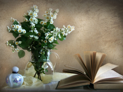  стена, духи, ваза, жасмин, книга