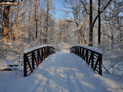 зима, снег, мост, деревья