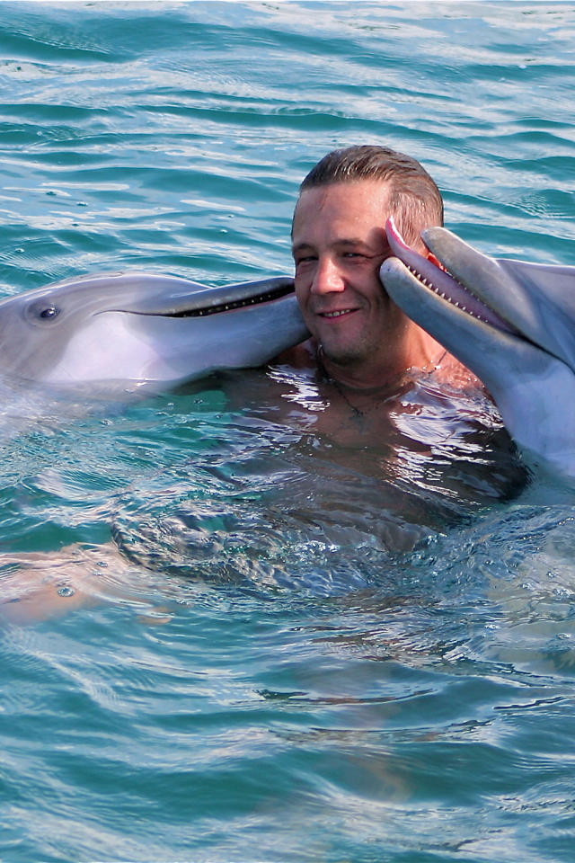 дельфинарий, мужчина, дельфины, дружба