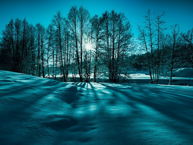 лучи, деревья, снег, зима, природа, солнце