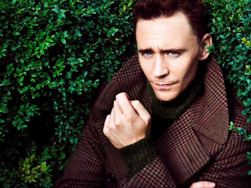 tom hiddleston, том хиддлстон, кусты, мужчина, пальто, актер