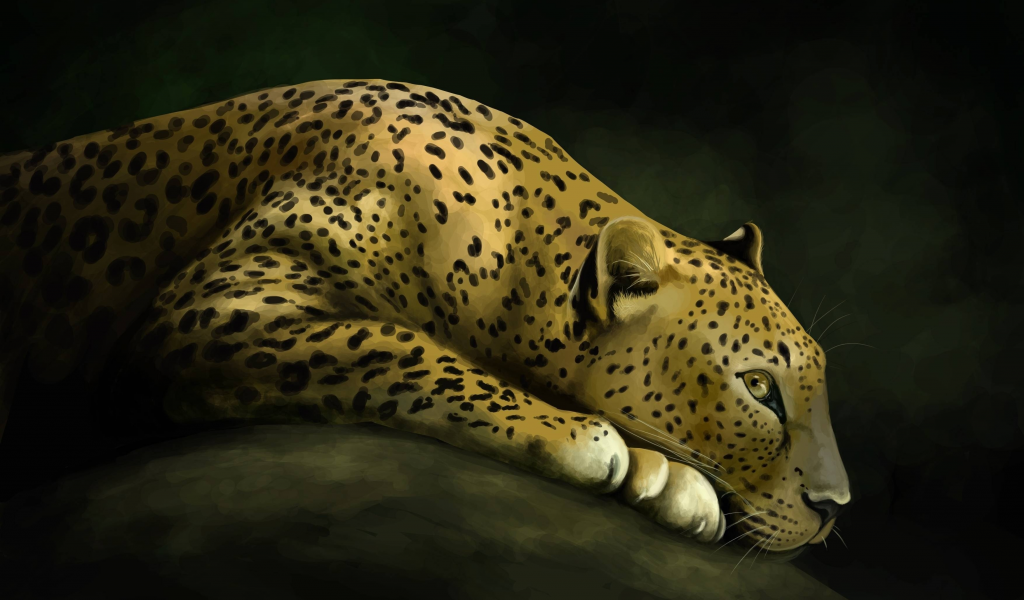 рисунок, леопард