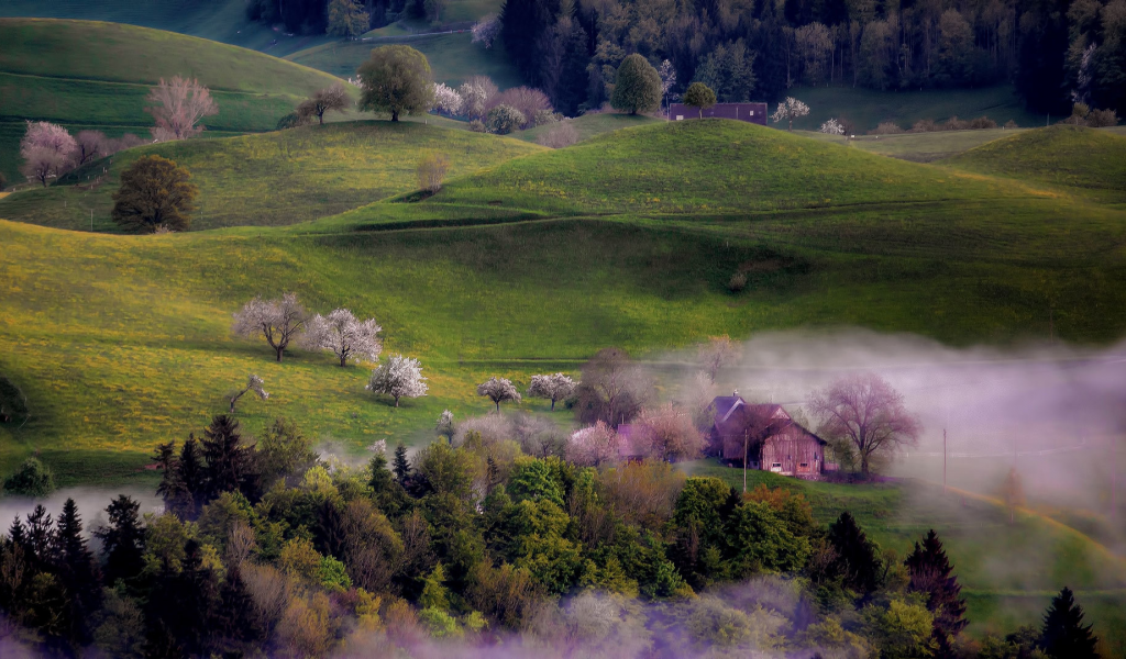 холмы, весна, дома, деревья, туман