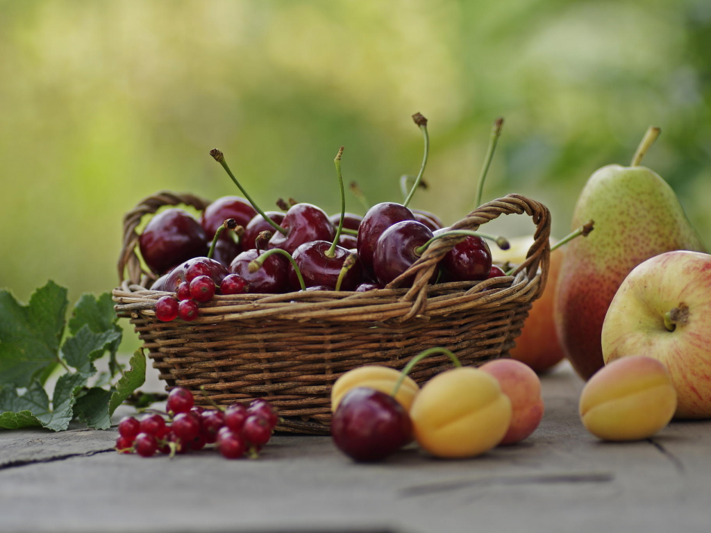 фрукты, лето, корзина, вишня, яблоко, груша. абрикосы, смородина