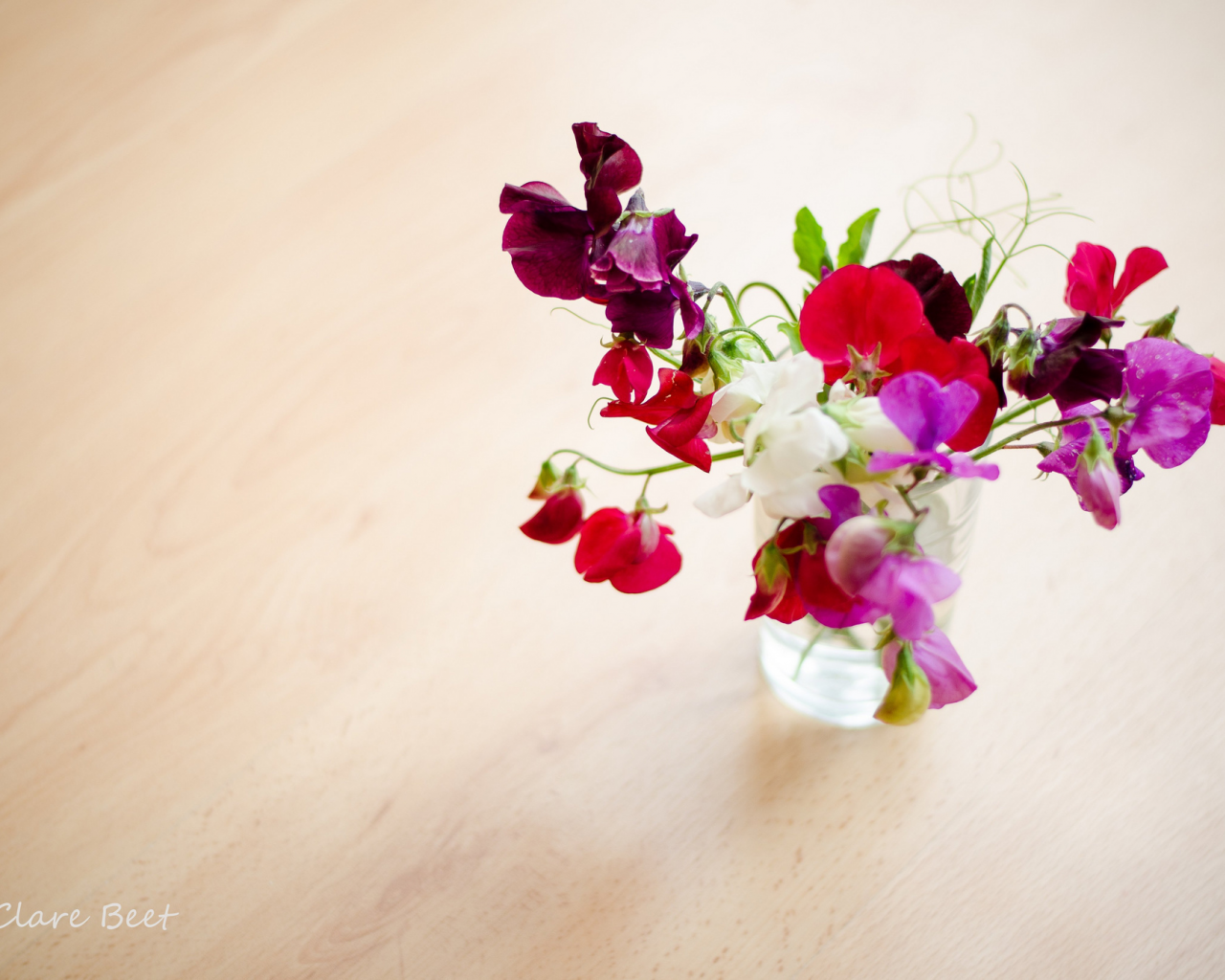 ваза, clare beet, душистый, горошек, букет, цветы
