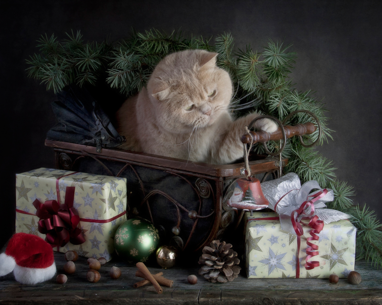 Merry Christmas, с праздником, кошка, подарки