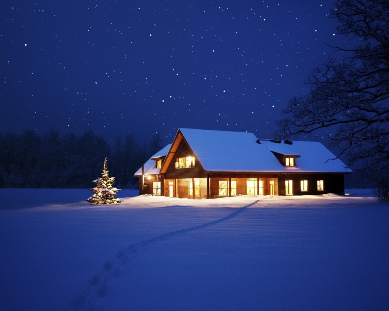 зима, дом, небо, звезды, елка, снег, тропинка