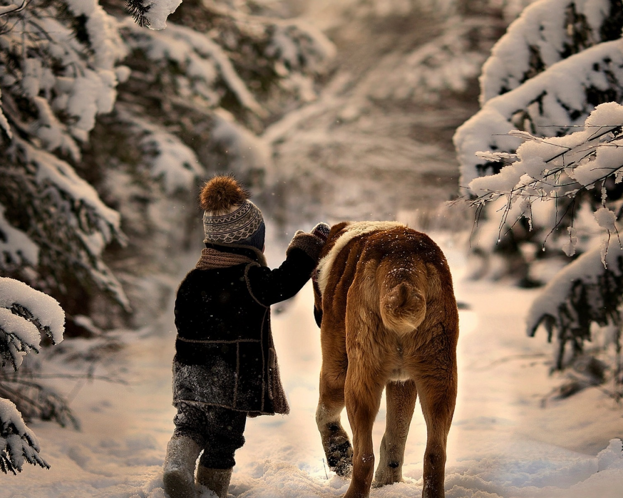 ребенок, собака, друзья, лес, зима