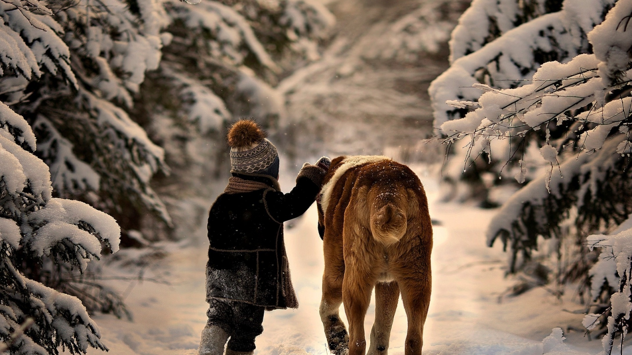 ребенок, собака, друзья, лес, зима