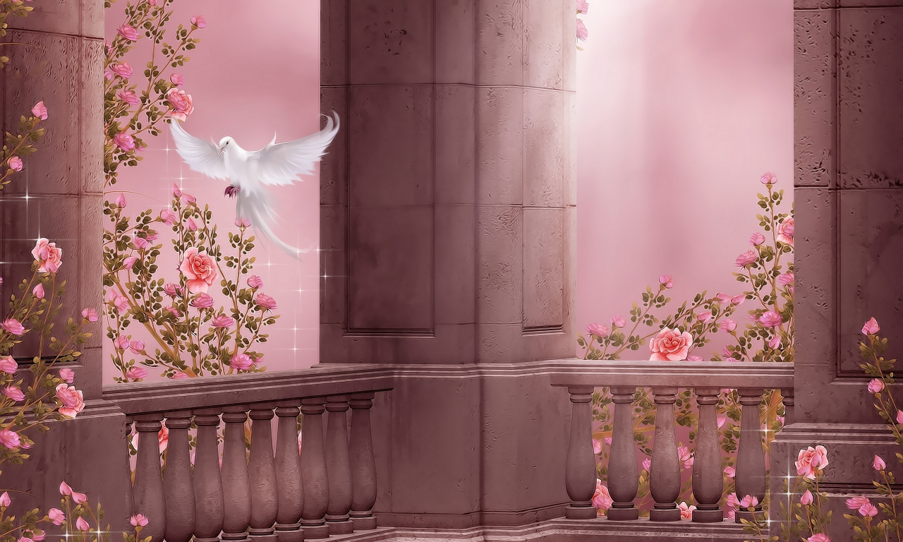 dove, pigeon, roses, rose garden, columns, колонны, розовый сад, flowers