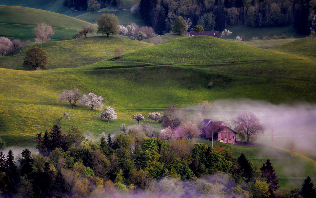 холмы, весна, дома, деревья, туман