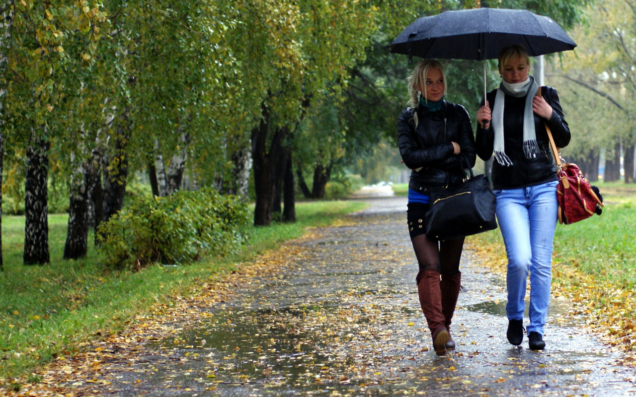 осень, сыро, дождь, зонт, прохожие, сквер, листья