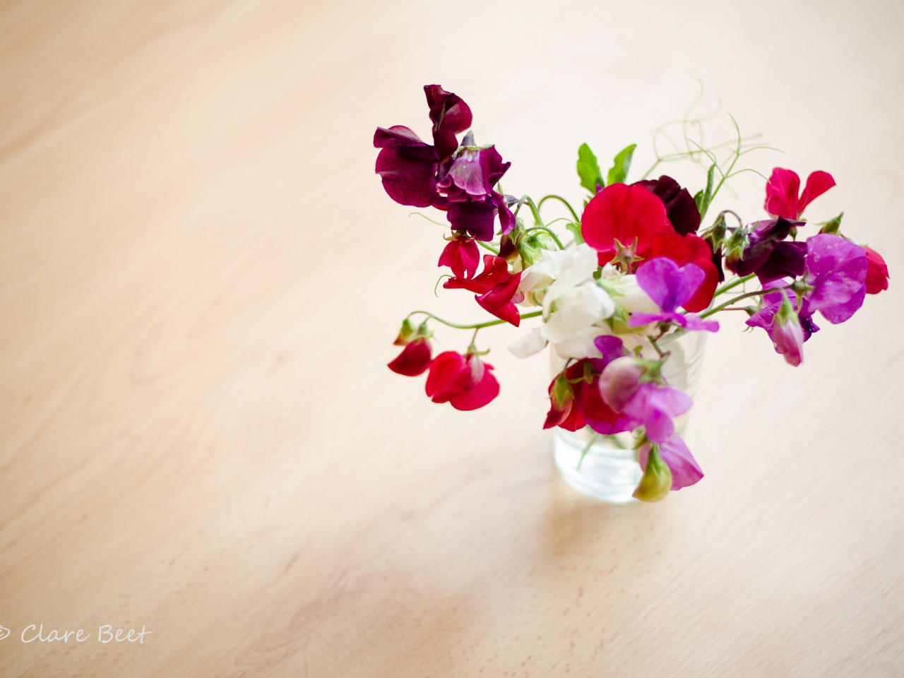 ваза, clare beet, душистый, горошек, букет, цветы