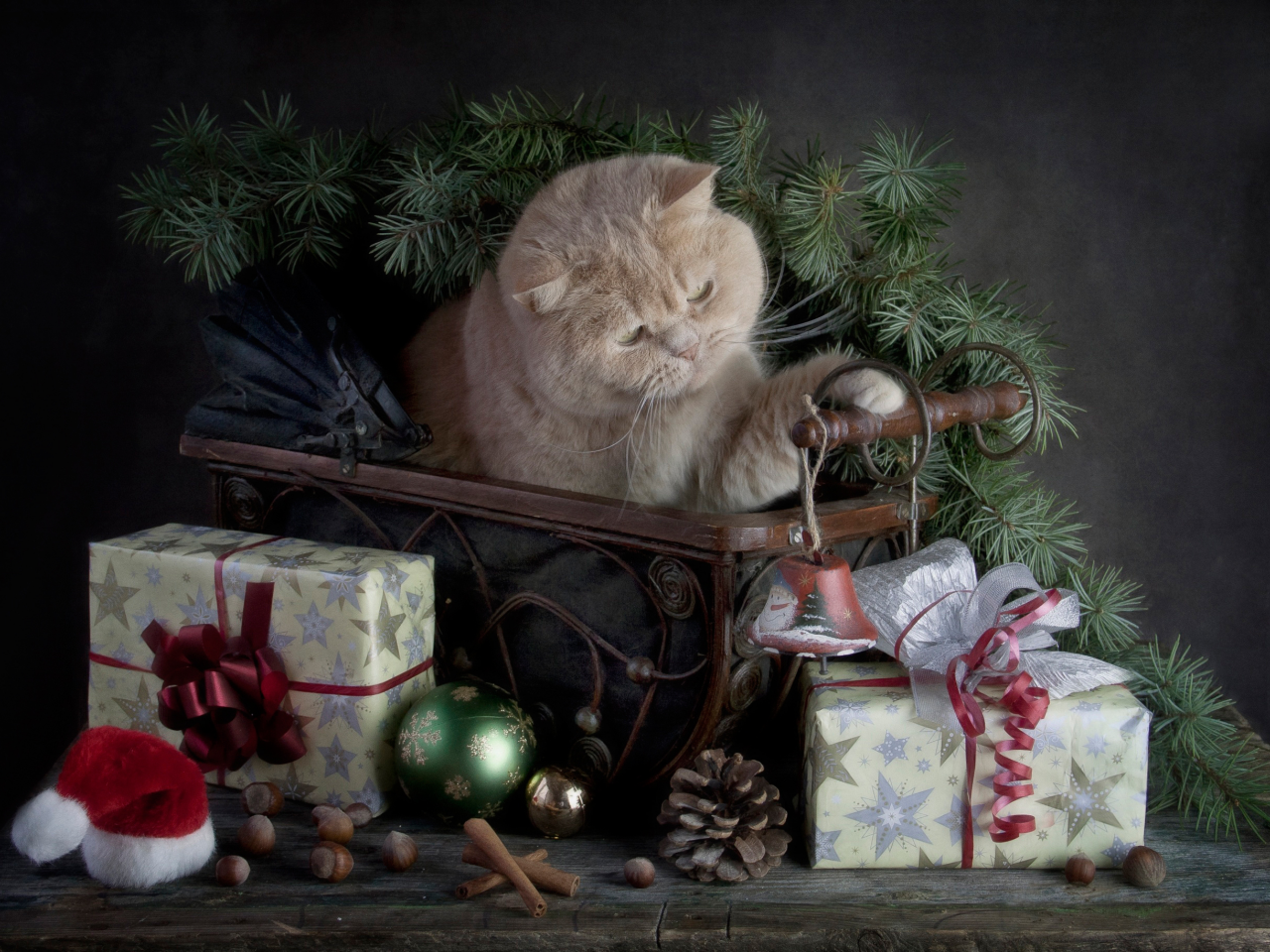 Merry Christmas, с праздником, кошка, подарки