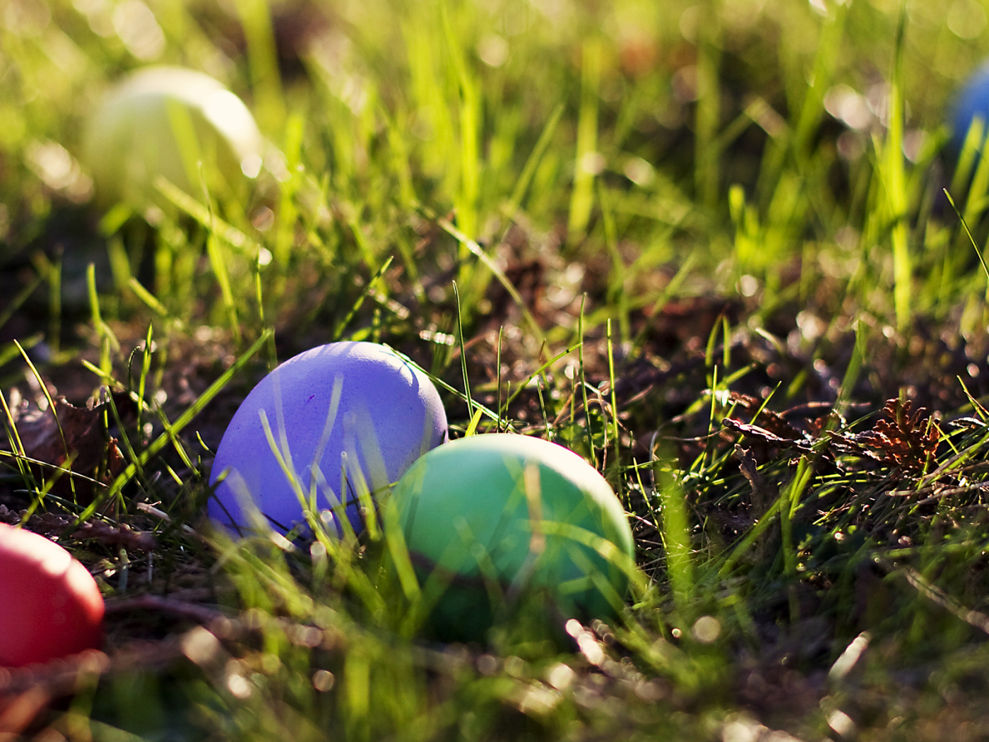 spring, eggs, easter, пасха, весна, яйца, colored, трава, grass