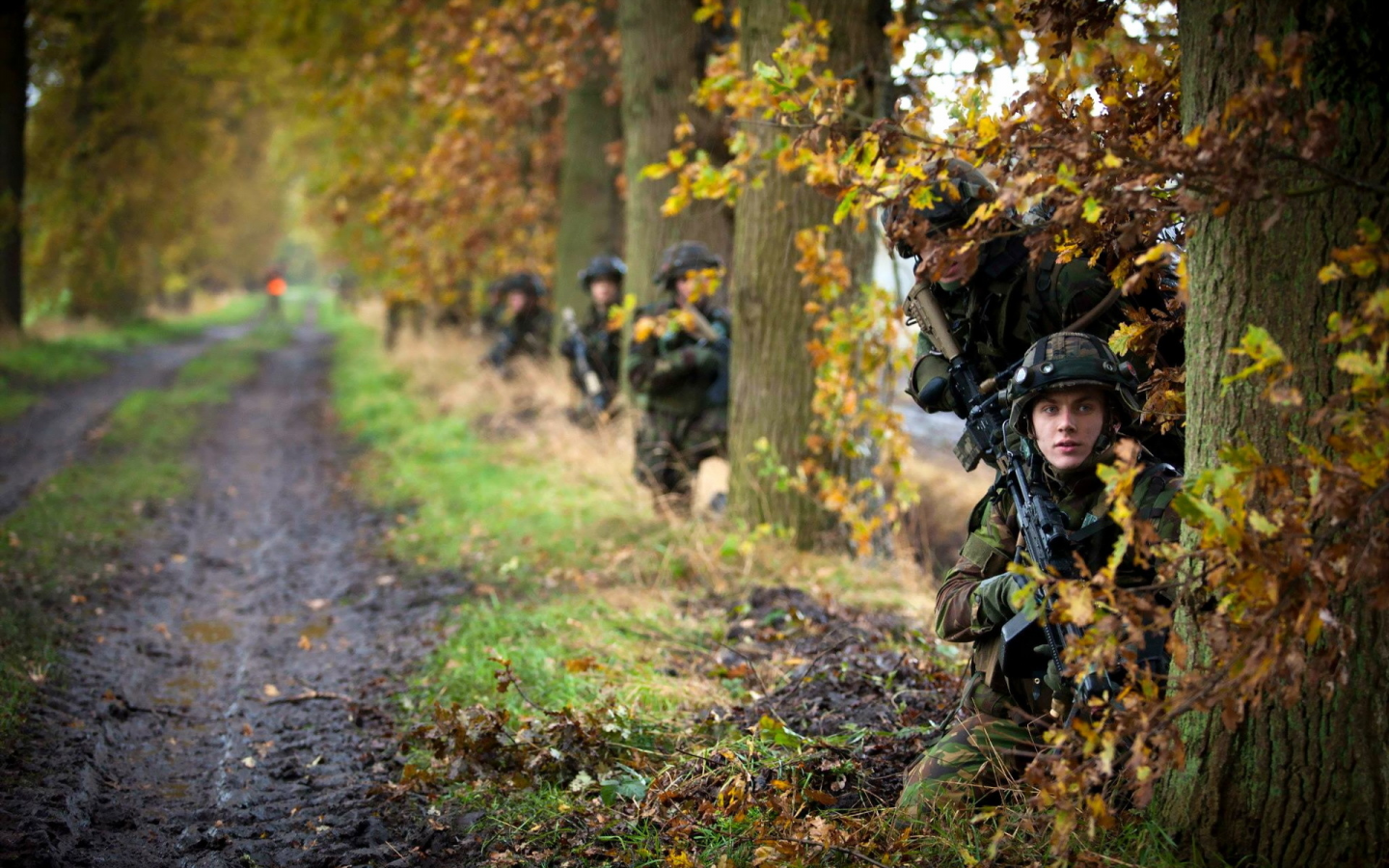 оружие, royal netherlands army, солдаты