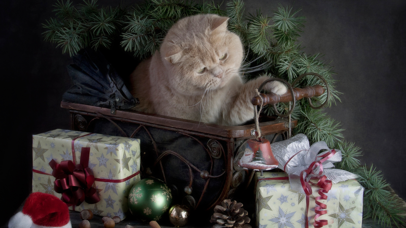 Merry Christmas, с праздником, кошка, подарки