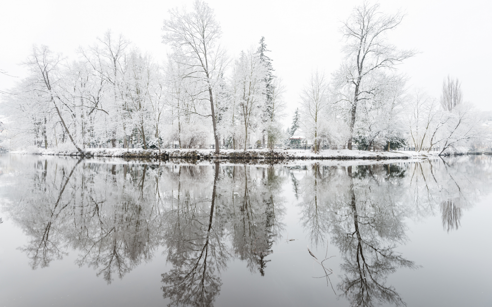 парк, иней, озеро, отражение, деревья, зима