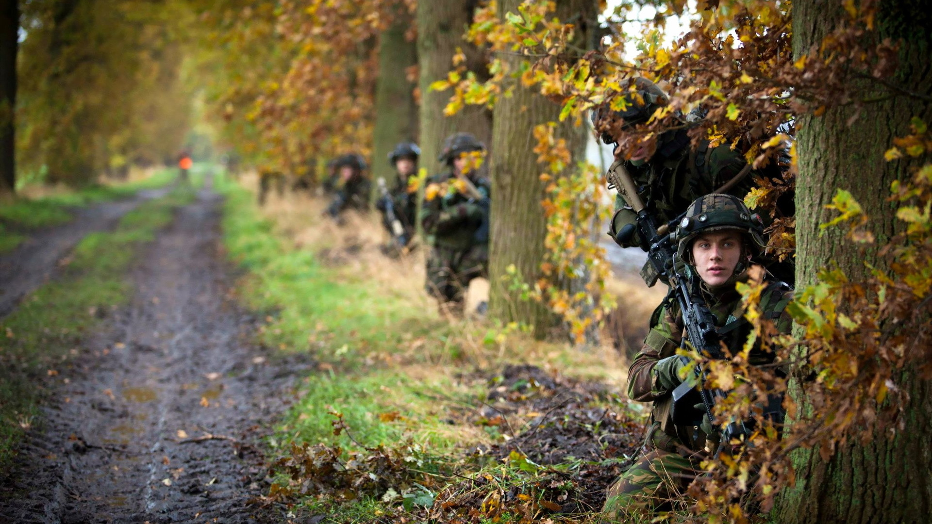 оружие, royal netherlands army, солдаты