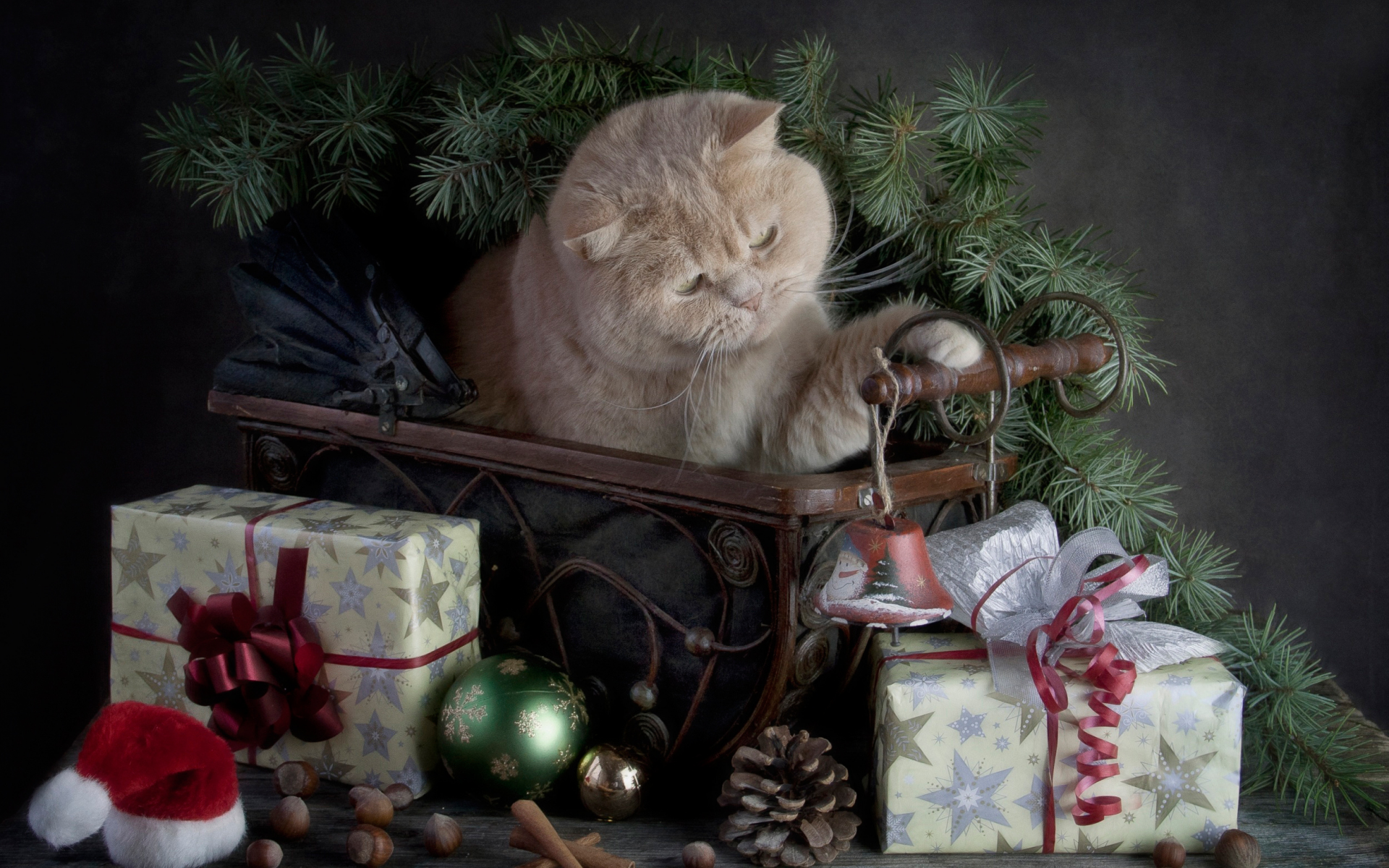 Merry Christmas, с праздником, кошка, подарки