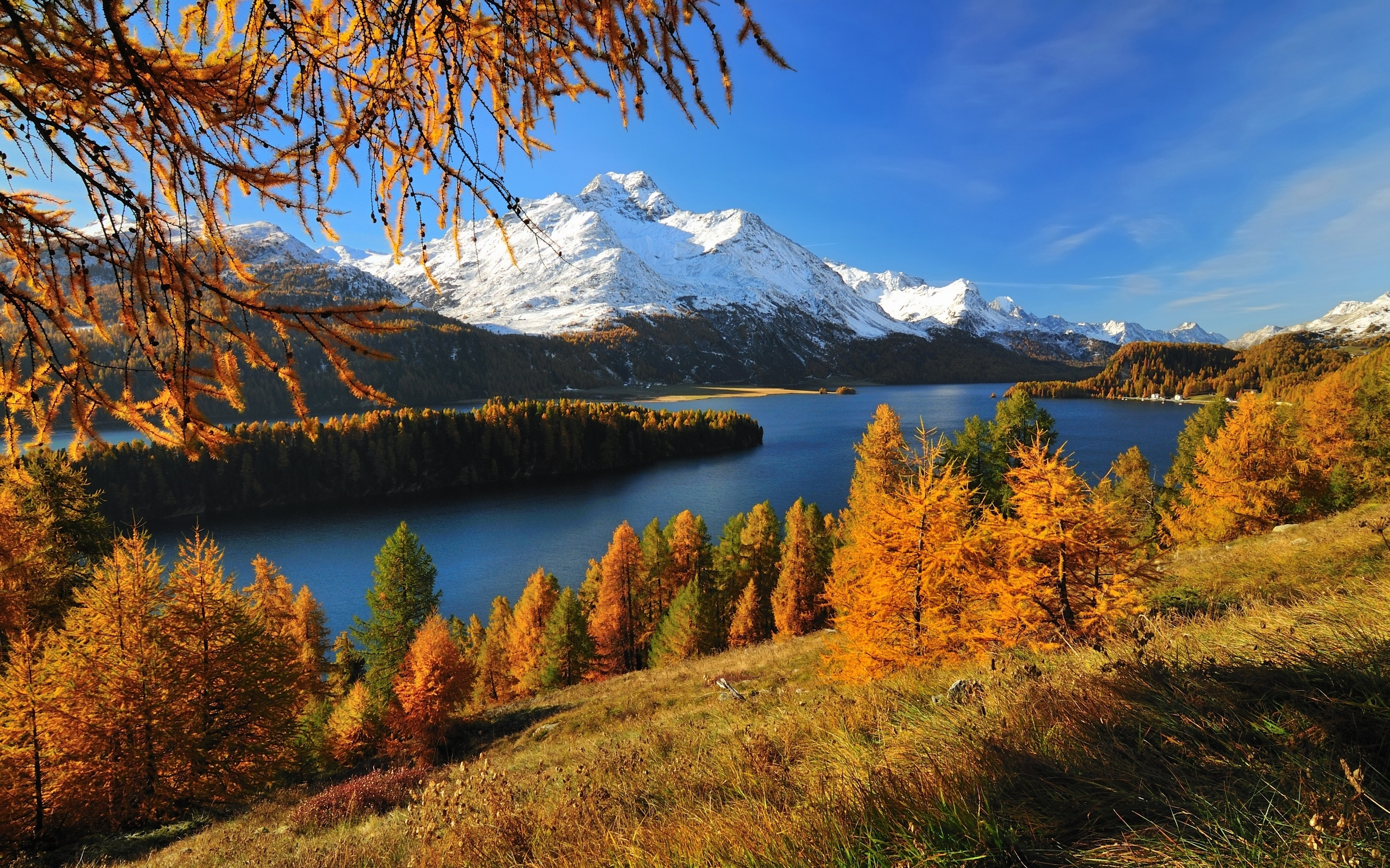 Швейцария, Альпы, река, красиво, природа, осень