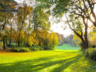 Осенний парк, солнечные лучи, солнечный свет, осенний лес, солнечный свет, лес, зеленый поле, трава, деревья, природа, пейзаж, красивая сцена