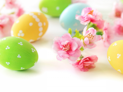 Easter, eggs, flowers, delicate, пасха, яйца, цветы