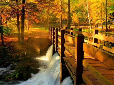 park, view, trees, river, autumn, bridge, walk, water, fall, nature, alley, hdr, leaves, forest