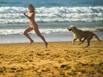игра, собака, пляж