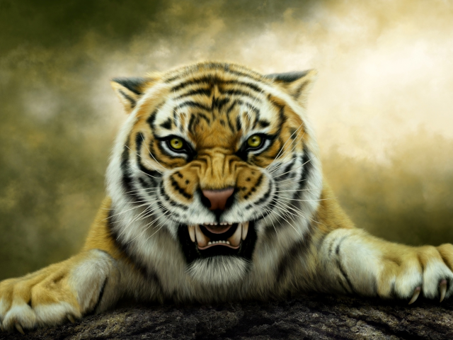 тигр, оскал, хищник