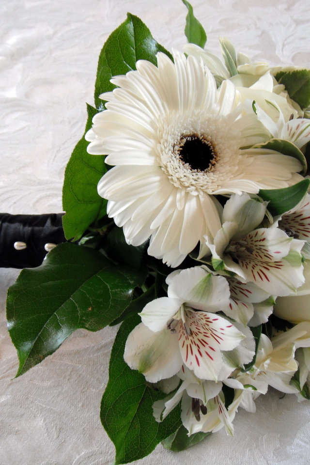 цветок, свадебный, цветы, альстромерия, букет, герберы