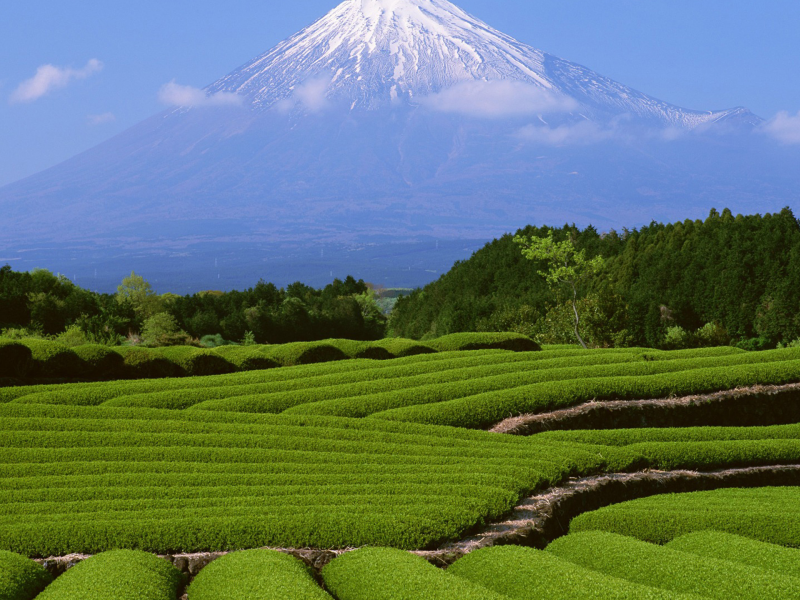гора Фудзи, вулкан, Япония