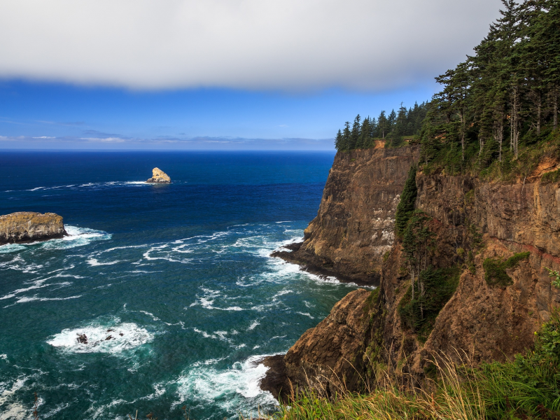 Oregon Coast, побережье, пляж, лес, океан, скалы