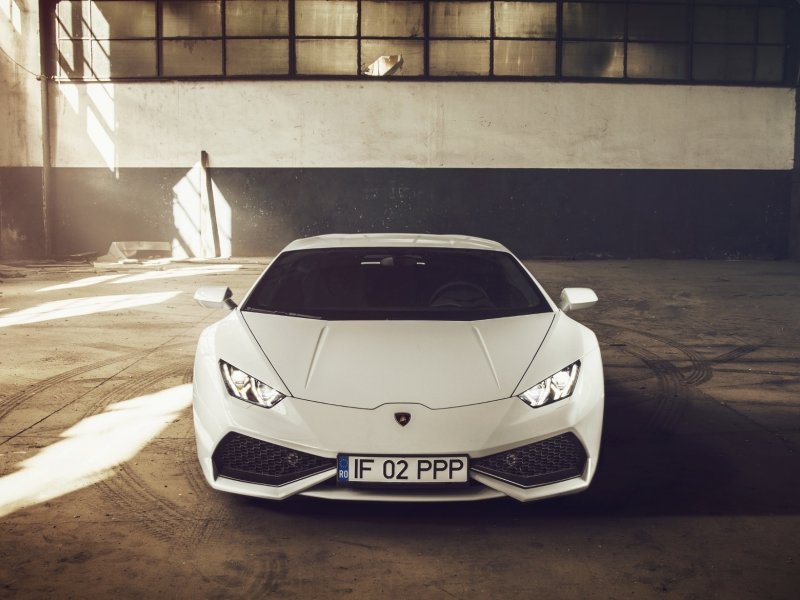 lamborghini, спорткар, белая