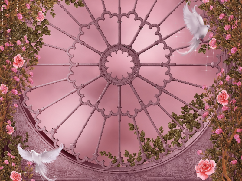 dove, flowers, roses, розовый сад, rose garden, garlands, gothic architecture, pigeon