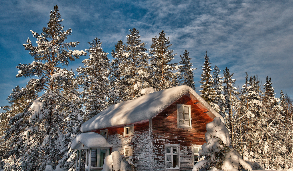 зима, деревья, елки, заброшенный, снег, старый, дом
