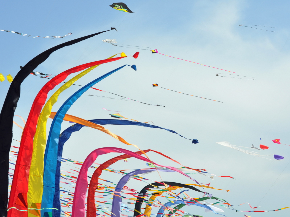 festival, kites, colori, aquiloni