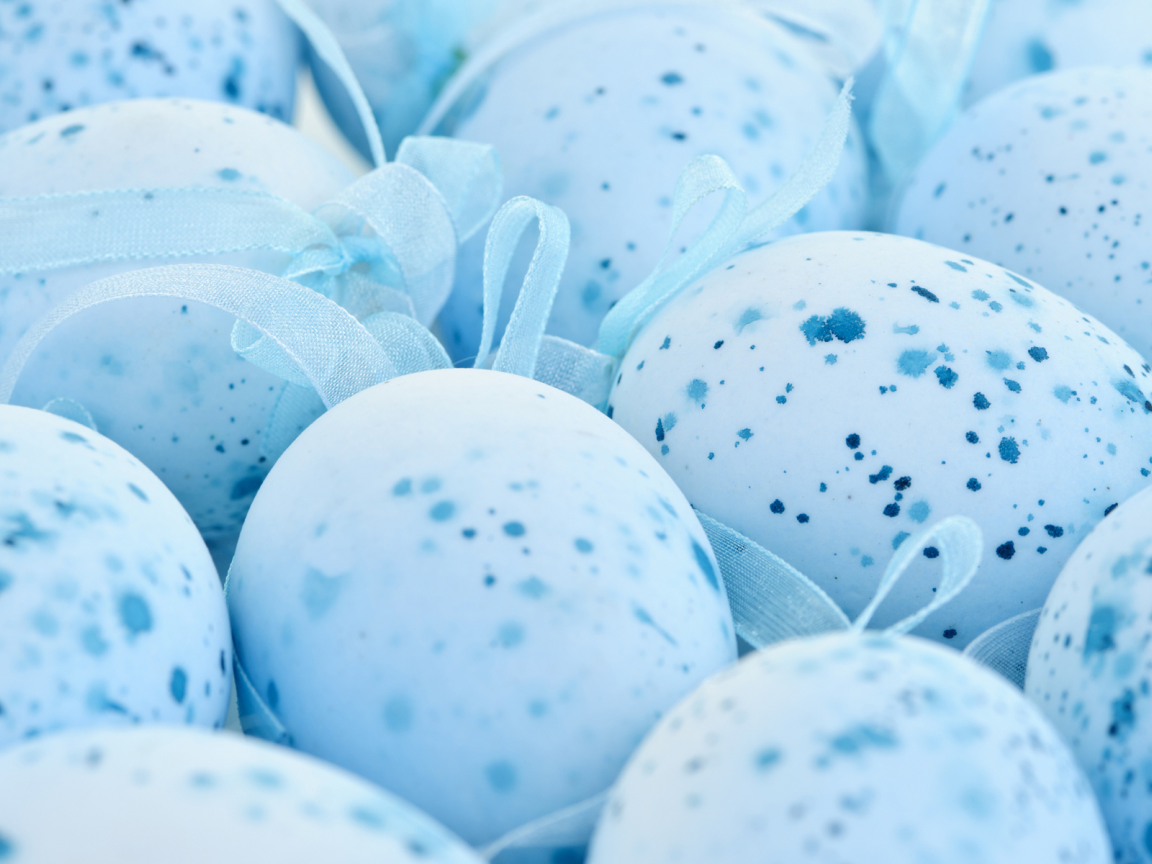 крапинка, blue, speckles, easter, пасха, голубой, яйца, eggs