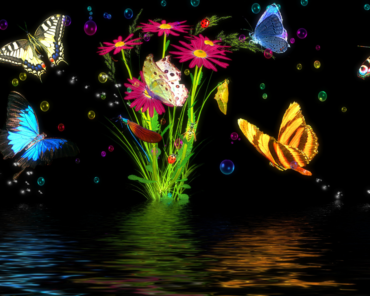 Ночь, вода, трава, свет, насекомые, бабочки.