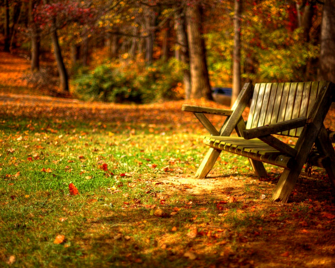 trees, road, листья, autumn, grass, park, forest, colors, leaves, hdr, nature, bench, walk